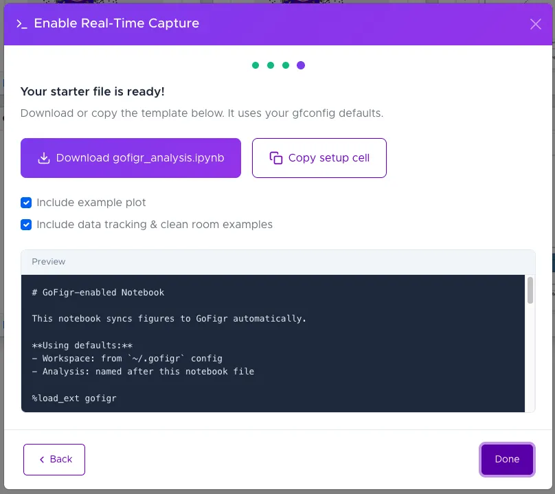 Download or copy the generated starter file with a code preview